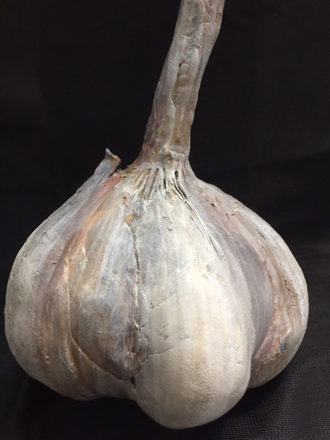 子貓玲 CoNeCoLin 伍洋 - 輔助圖