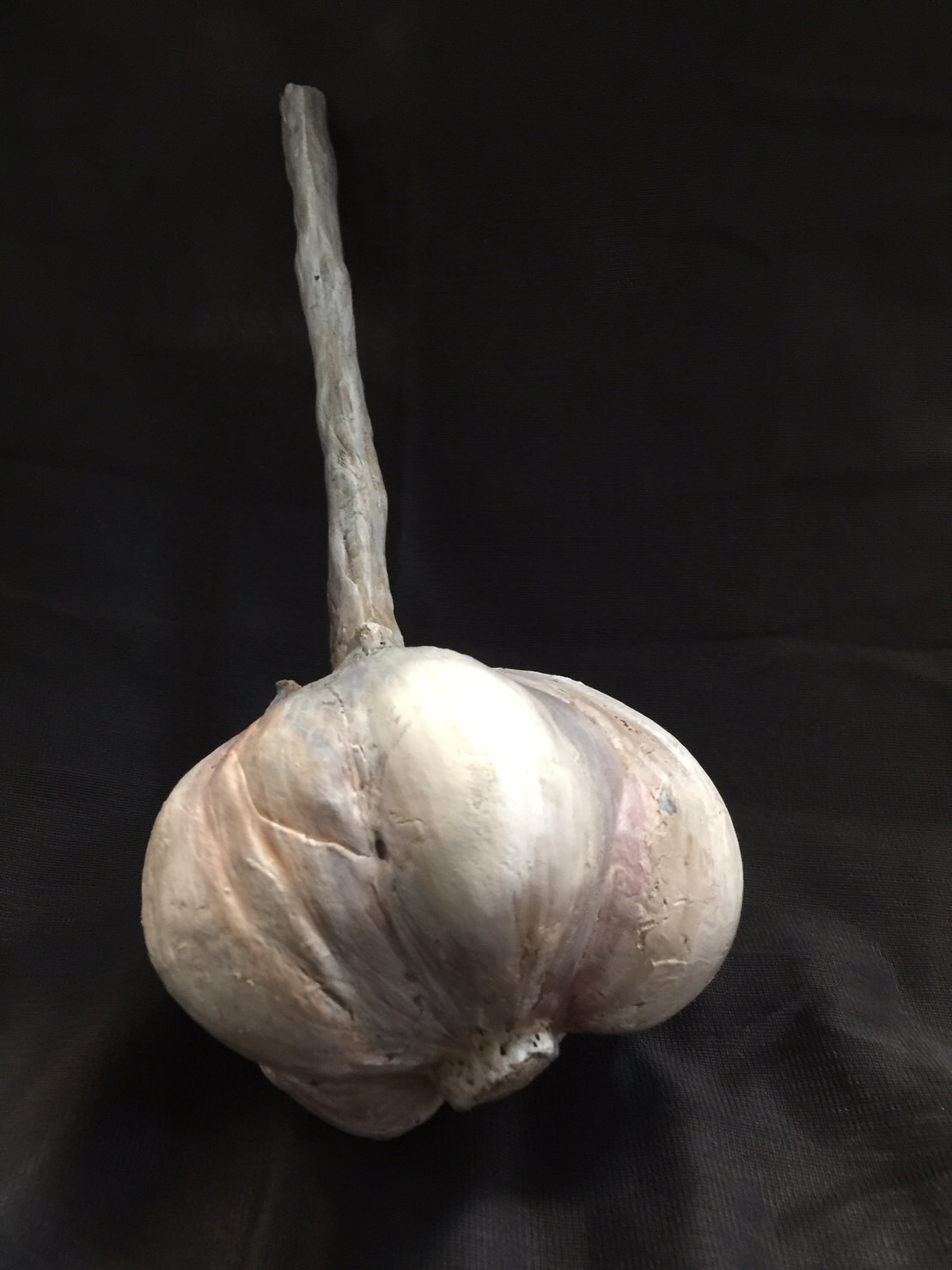 子貓玲 CoNeCoLin 伍洋 - 輔助圖