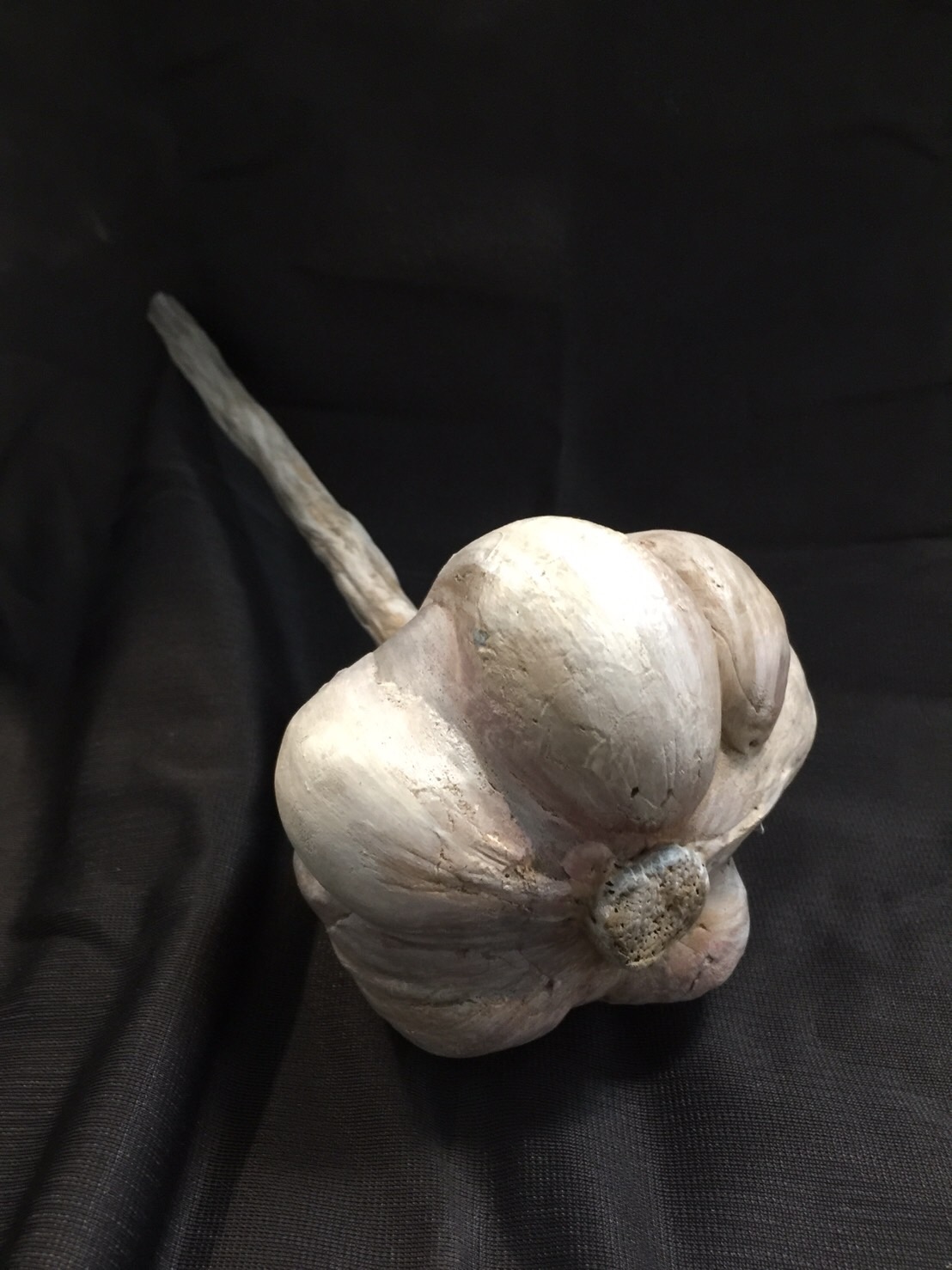 子貓玲 CoNeCoLin 伍洋 - 輔助圖