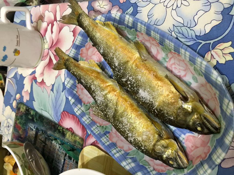 子貓玲 CoNeCoLin 伍洋 - 輔助圖