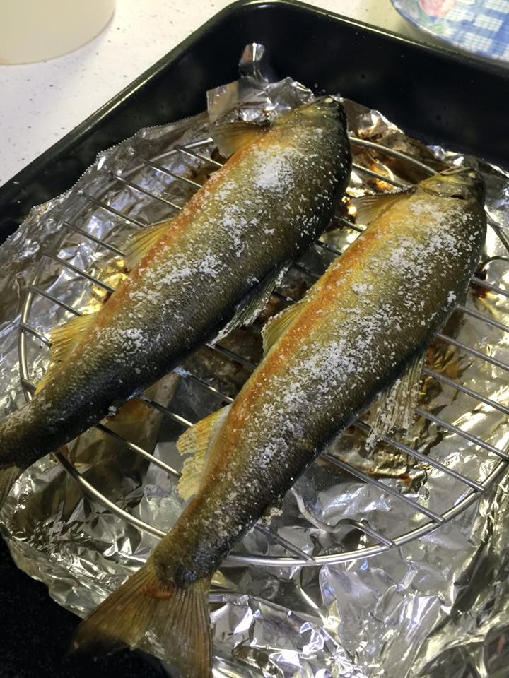 子貓玲 CoNeCoLin 伍洋