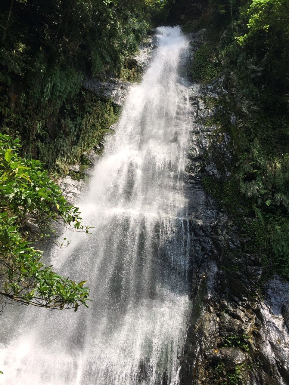 子貓玲 CoNeCoLin 伍洋 - 輔助圖
