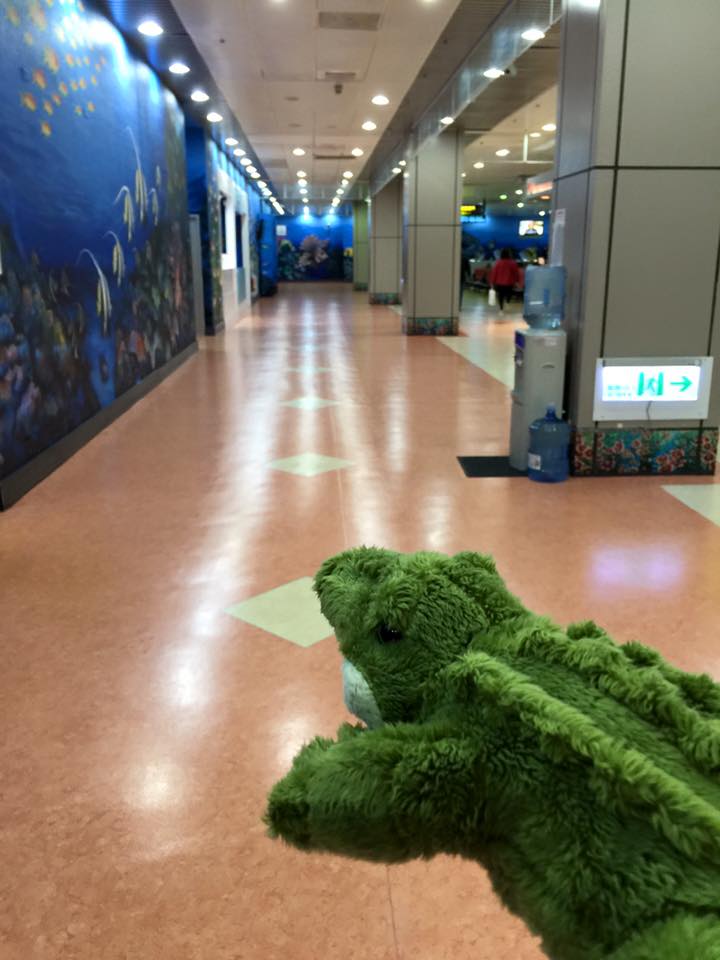 子貓玲 CoNeCoLin 伍洋