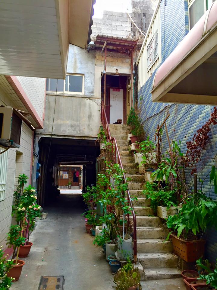 子貓玲 CoNeCoLin 伍洋 - 輔助圖