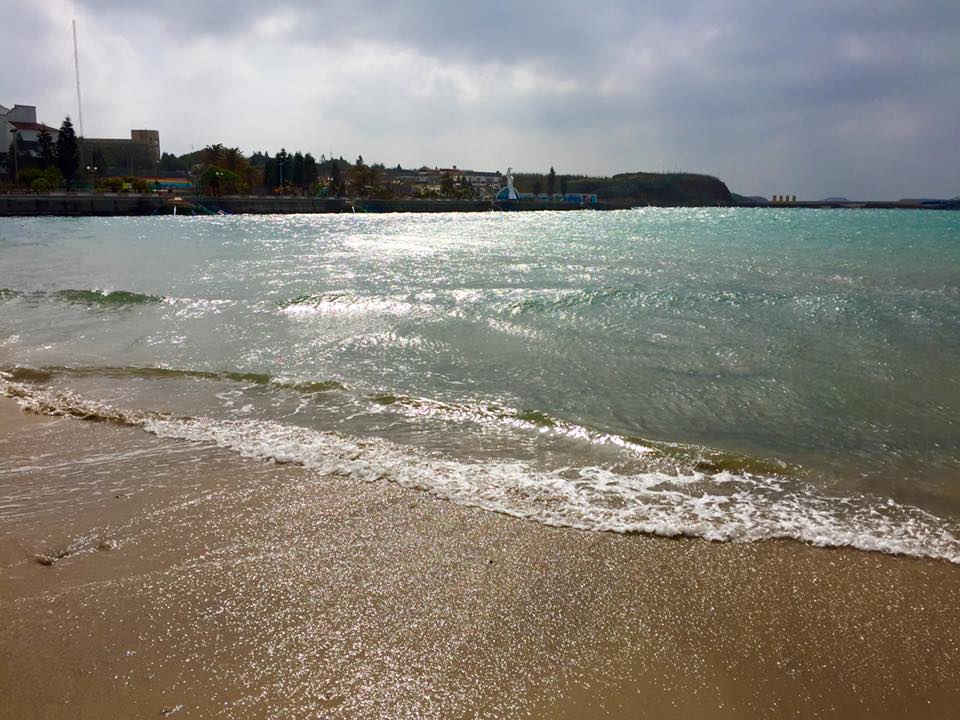 子貓玲 CoNeCoLin 伍洋 - 輔助圖