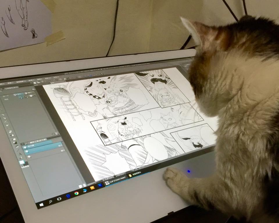 子貓玲 CoNeCoLin 伍洋 - 輔助圖