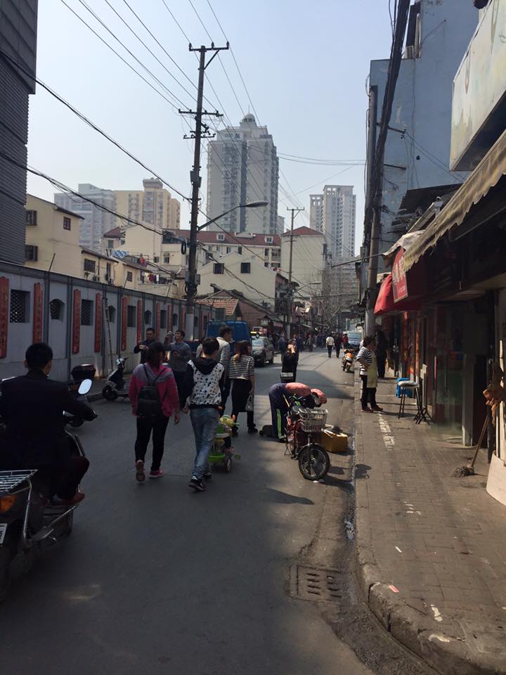 子貓玲 CoNeCoLin 伍洋 - 輔助圖