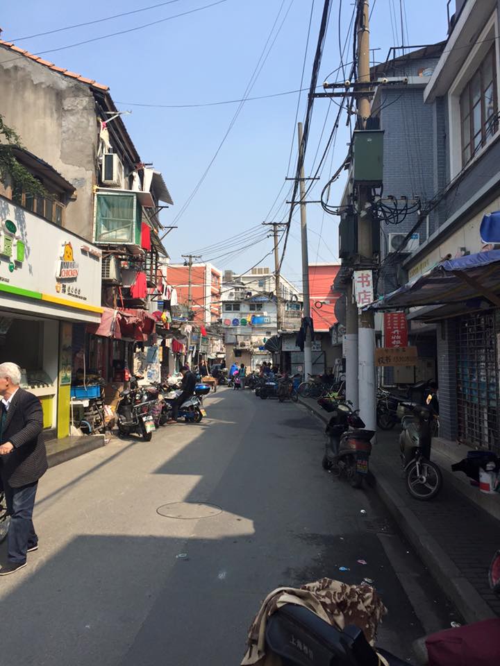 子貓玲 CoNeCoLin 伍洋 - 輔助圖