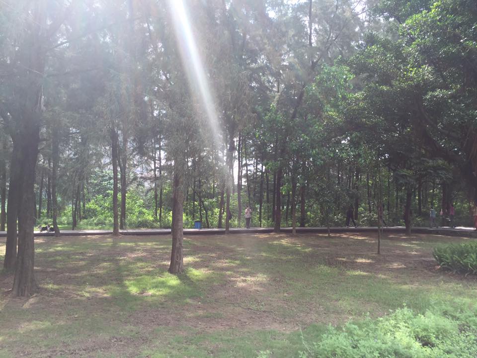 子貓玲 CoNeCoLin 伍洋 - 輔助圖