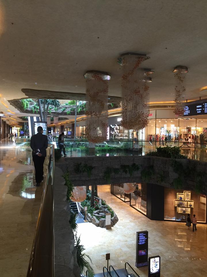 子貓玲 CoNeCoLin 伍洋 - 輔助圖