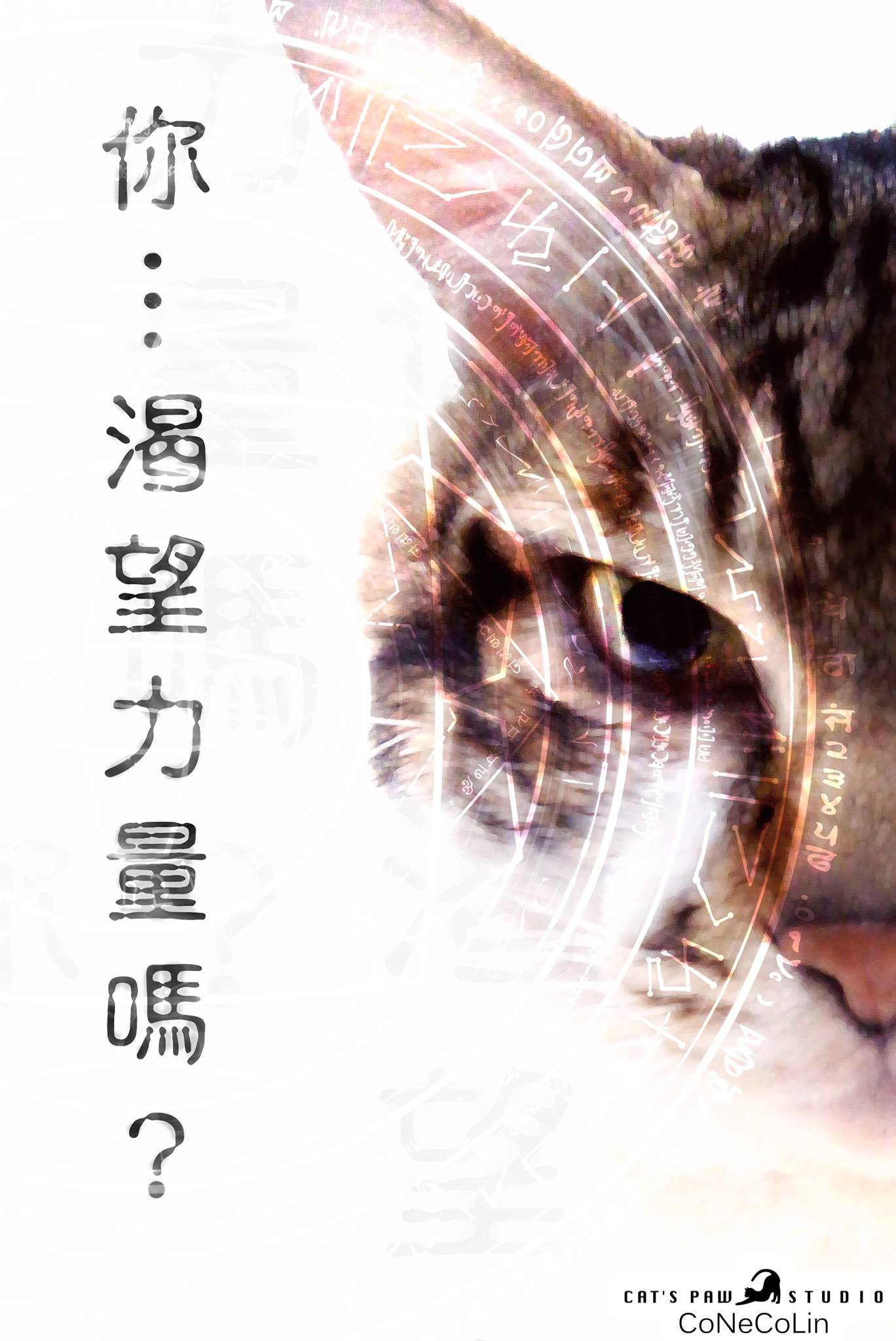 子貓玲 CoNeCoLin 伍洋