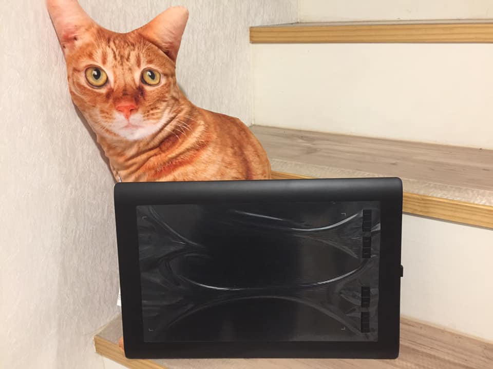 子貓玲 CoNeCoLin 伍洋 - 輔助圖