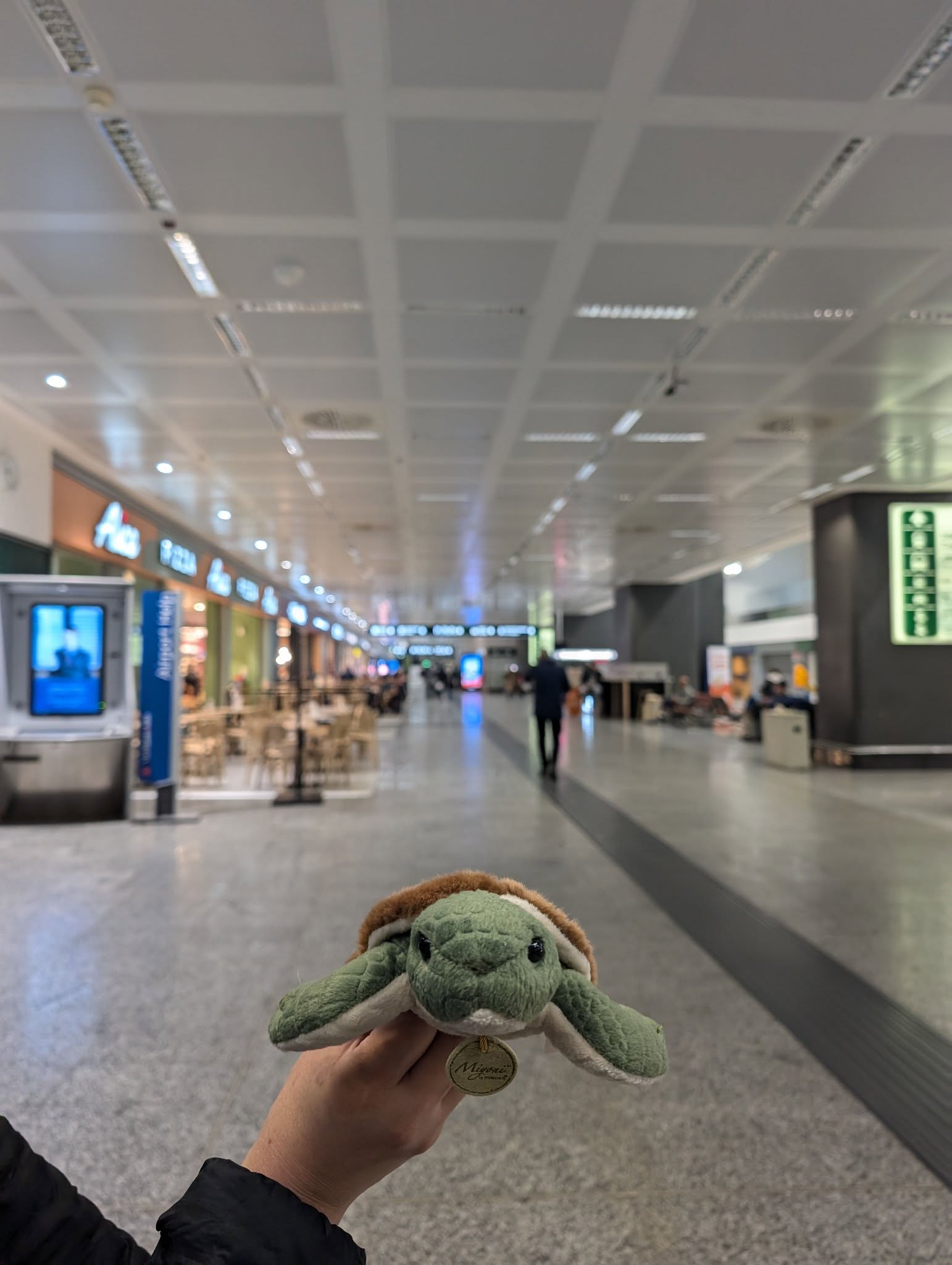 子貓玲 CoNeCoLin 伍洋