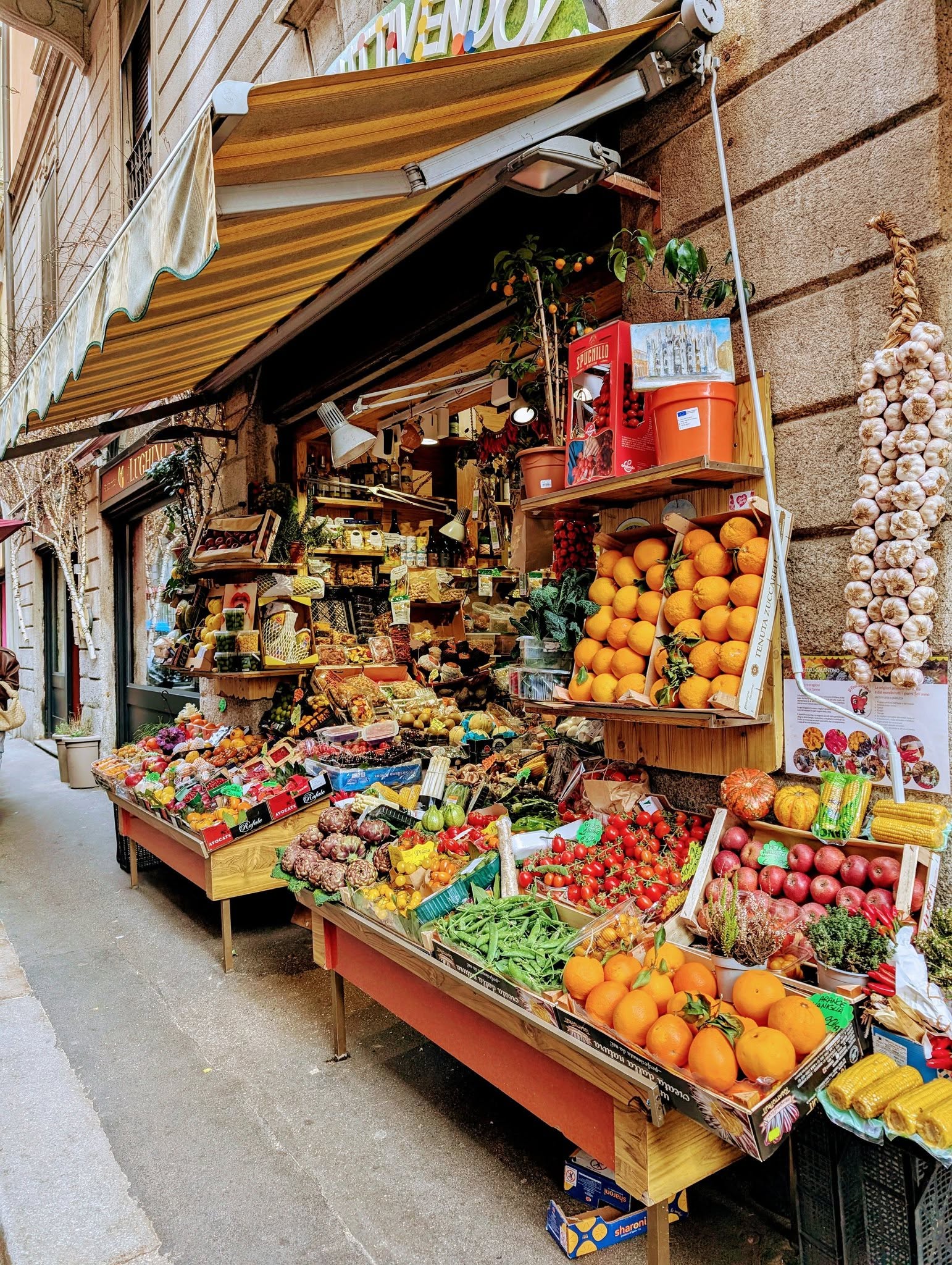 子貓玲 CoNeCoLin 伍洋 - 輔助圖