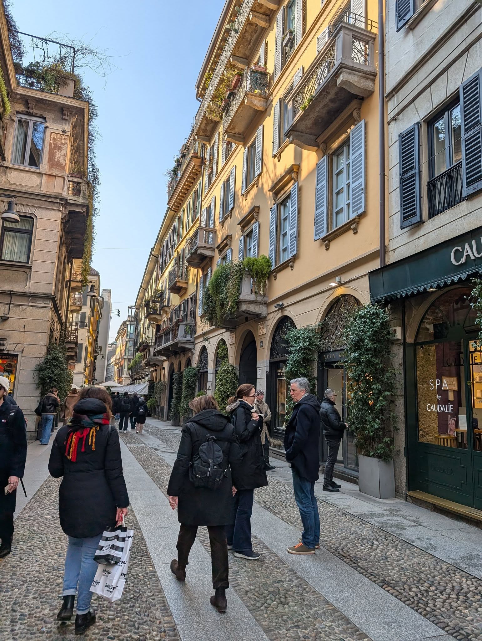 子貓玲 CoNeCoLin 伍洋 - 輔助圖