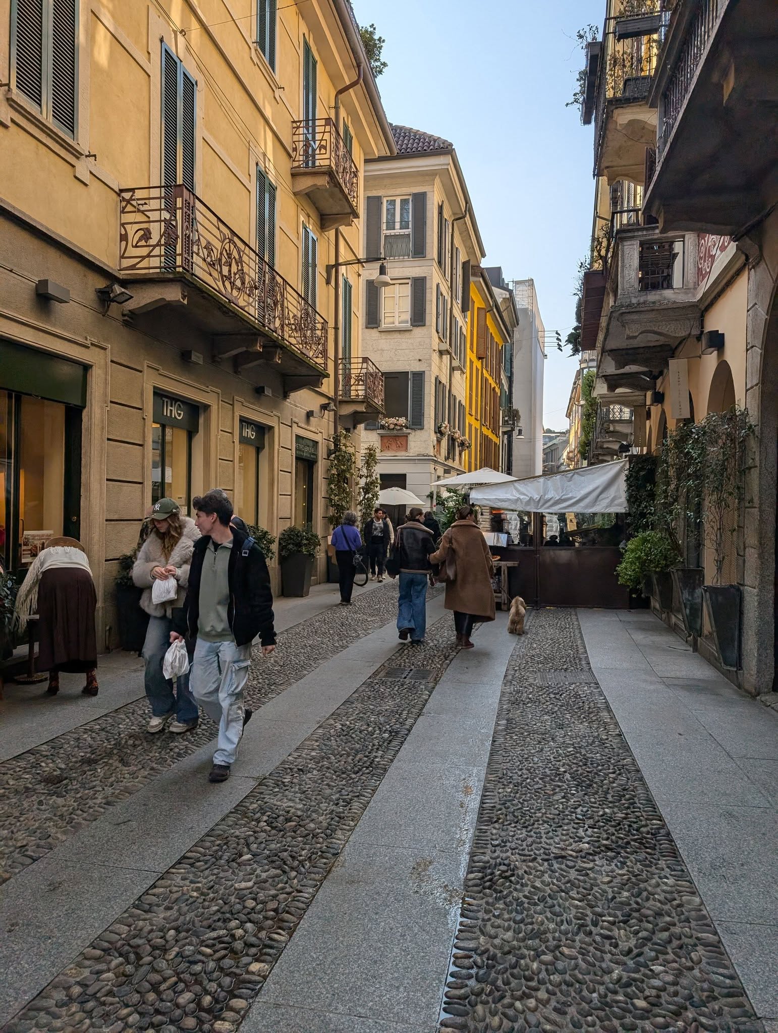 子貓玲 CoNeCoLin 伍洋 - 輔助圖