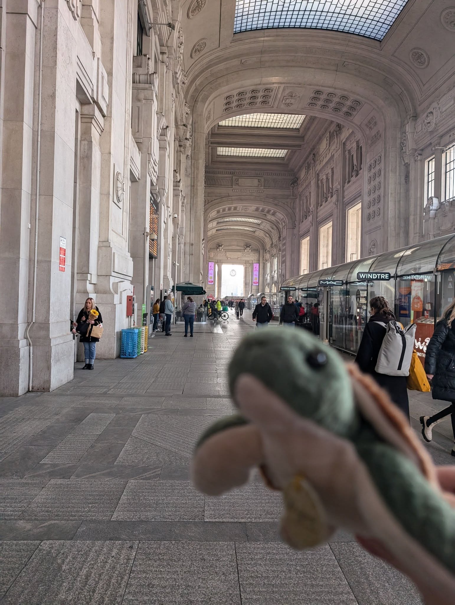 子貓玲 CoNeCoLin 伍洋 - 輔助圖