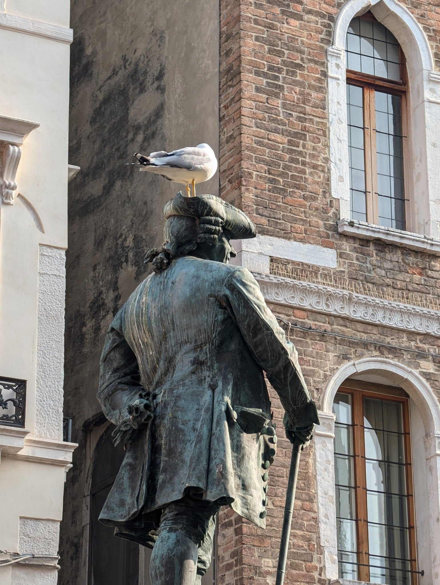 子貓玲 CoNeCoLin 伍洋 - 輔助圖