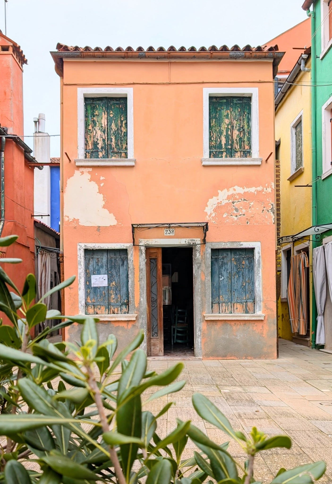 子貓玲 CoNeCoLin 伍洋 - 輔助圖