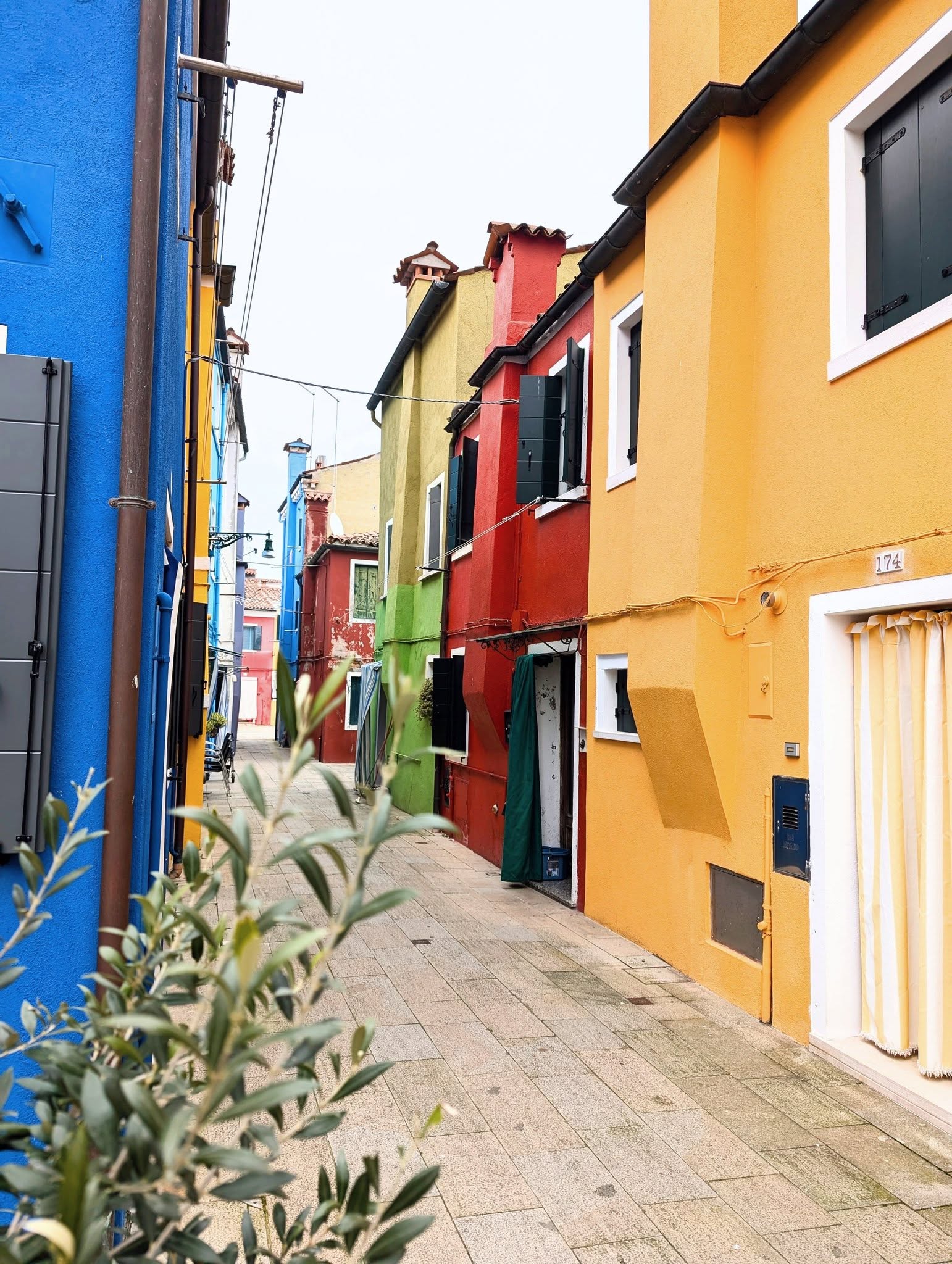 子貓玲 CoNeCoLin 伍洋 - 輔助圖