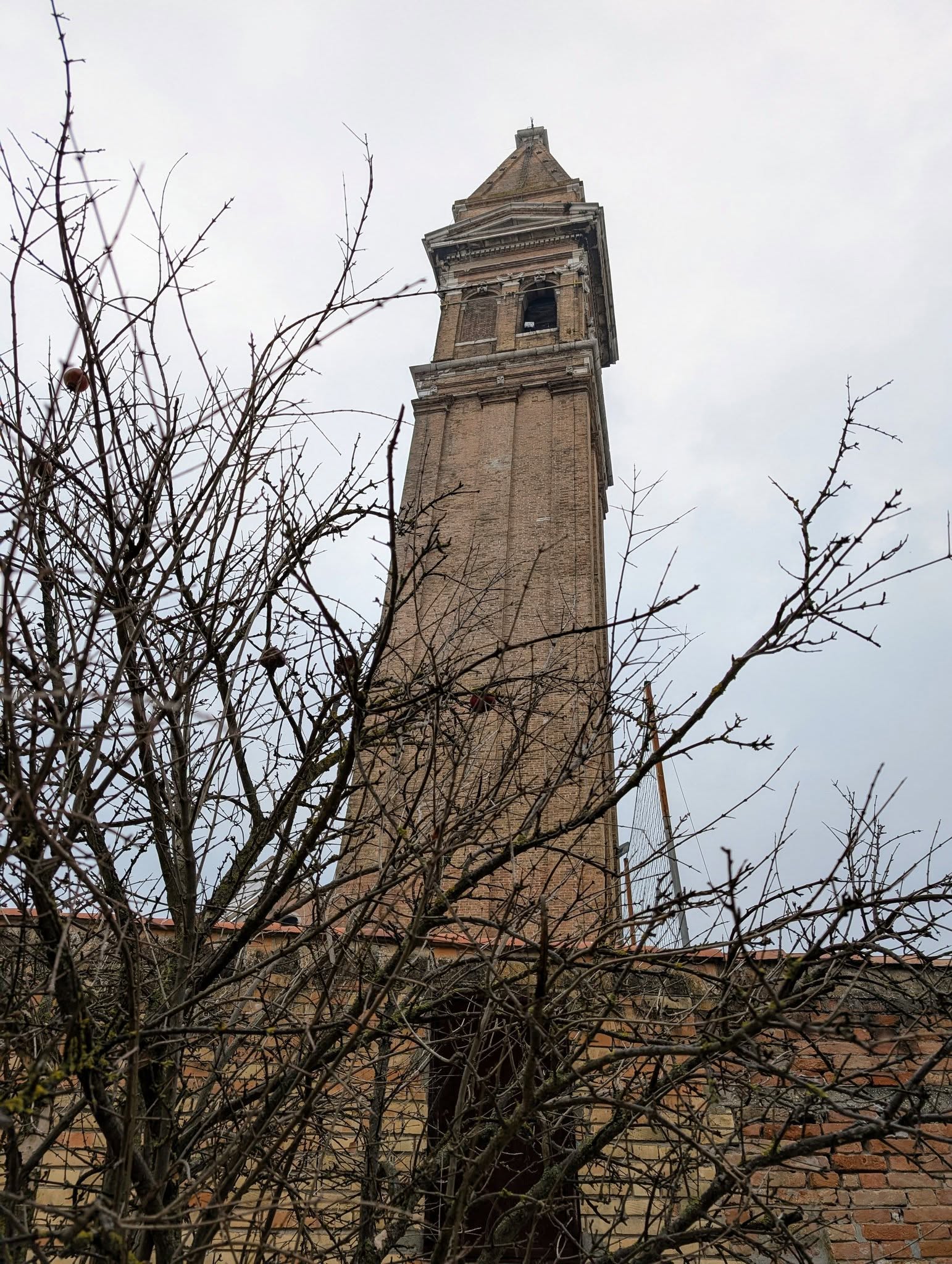 子貓玲 CoNeCoLin 伍洋 - 輔助圖