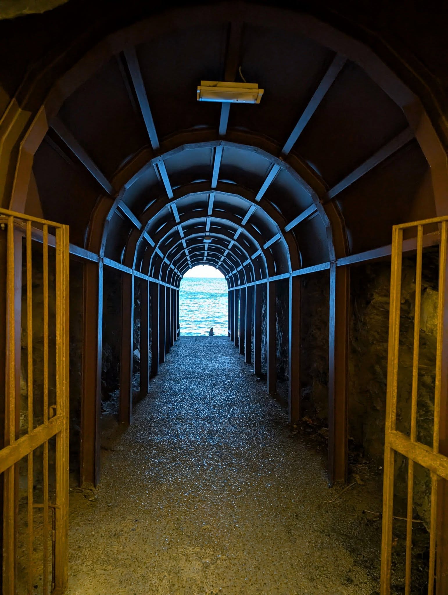 子貓玲 CoNeCoLin 伍洋 - 輔助圖