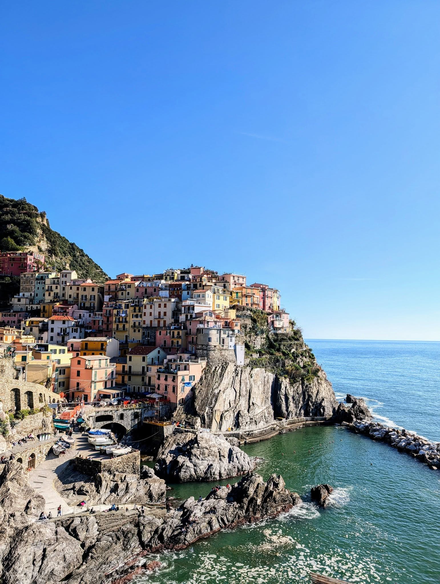 子貓玲 CoNeCoLin 伍洋 - 輔助圖