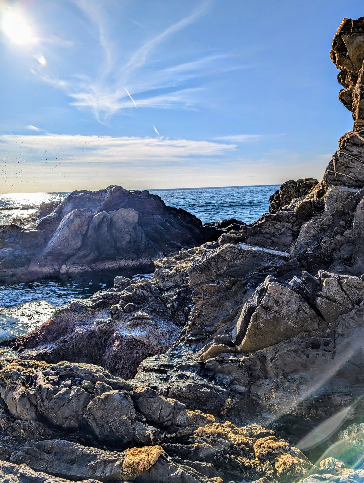 子貓玲 CoNeCoLin 伍洋 - 輔助圖