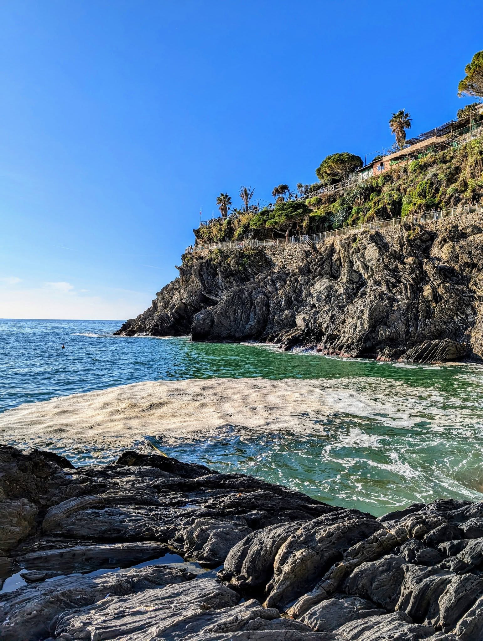 子貓玲 CoNeCoLin 伍洋 - 輔助圖