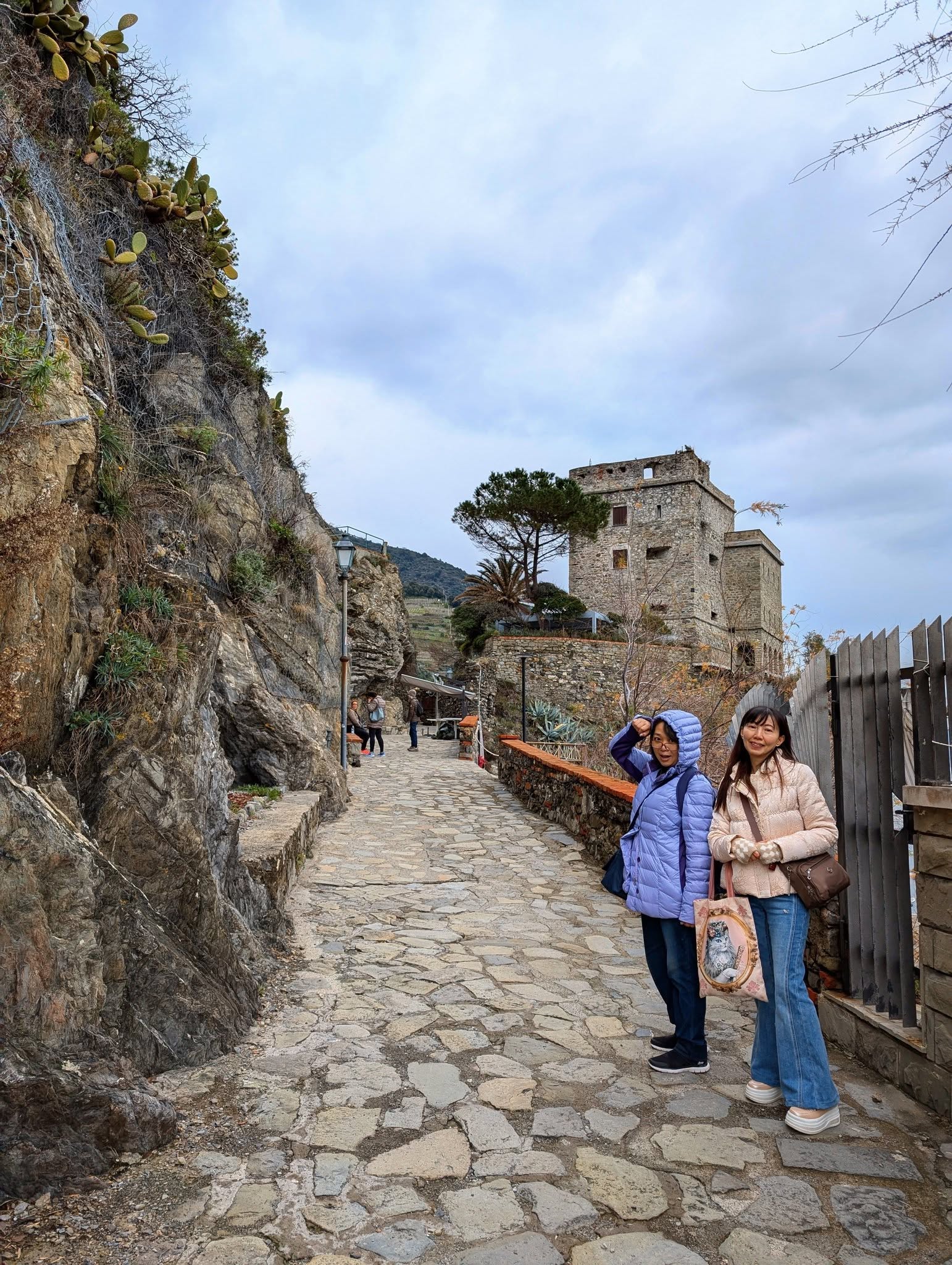 子貓玲 CoNeCoLin 伍洋 - 輔助圖