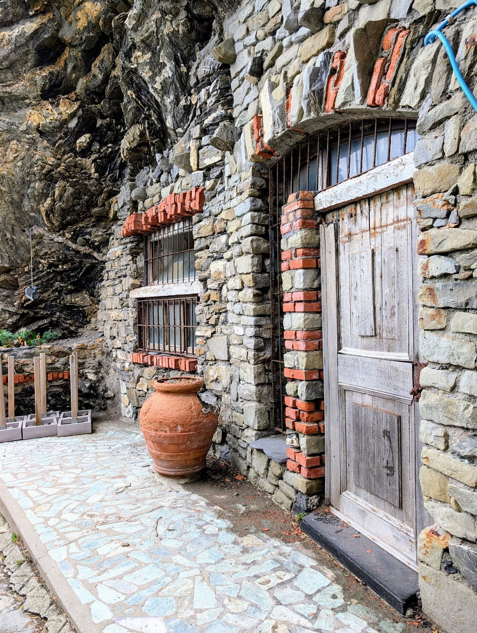 子貓玲 CoNeCoLin 伍洋 - 輔助圖