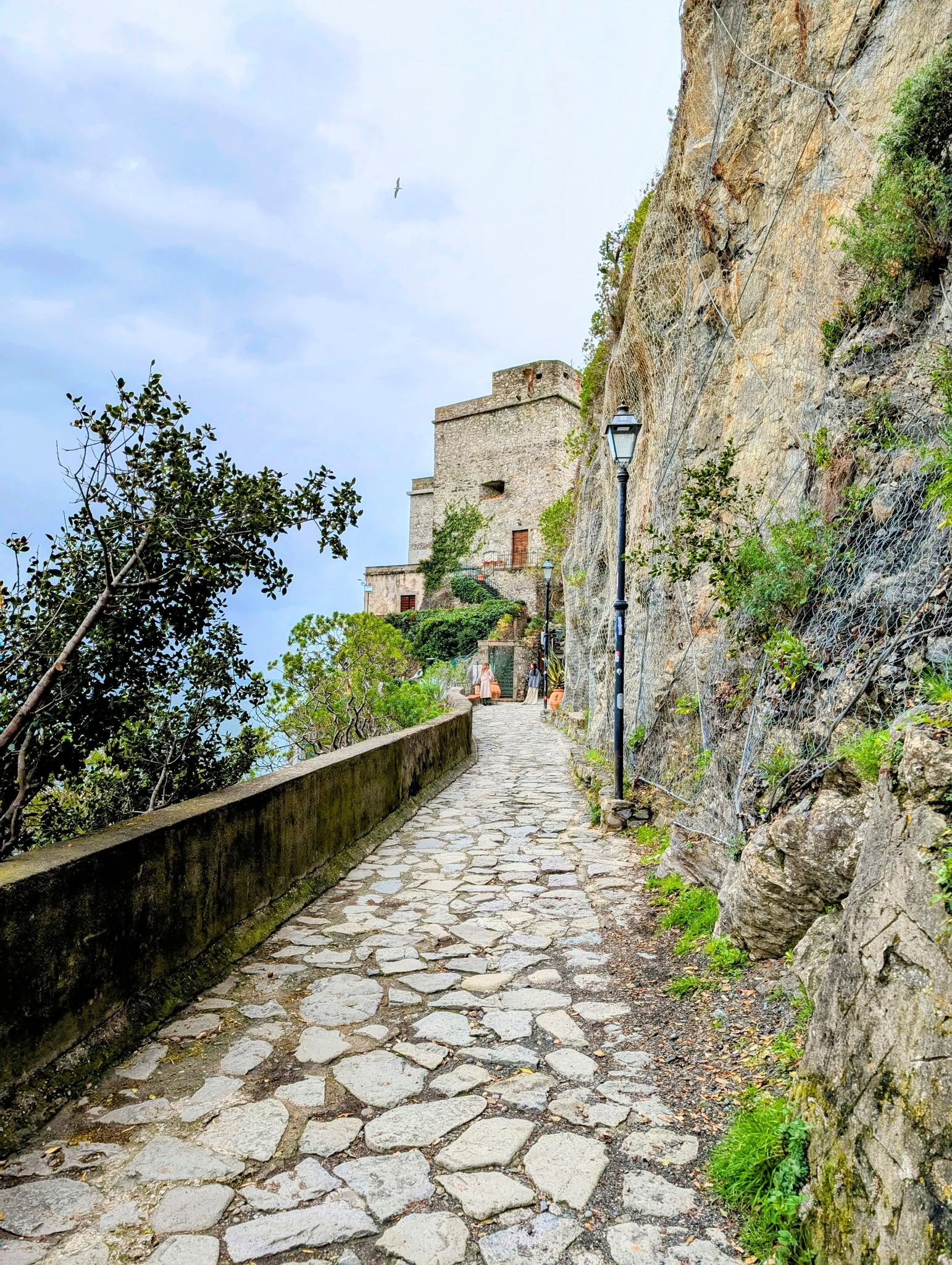 子貓玲 CoNeCoLin 伍洋 - 輔助圖