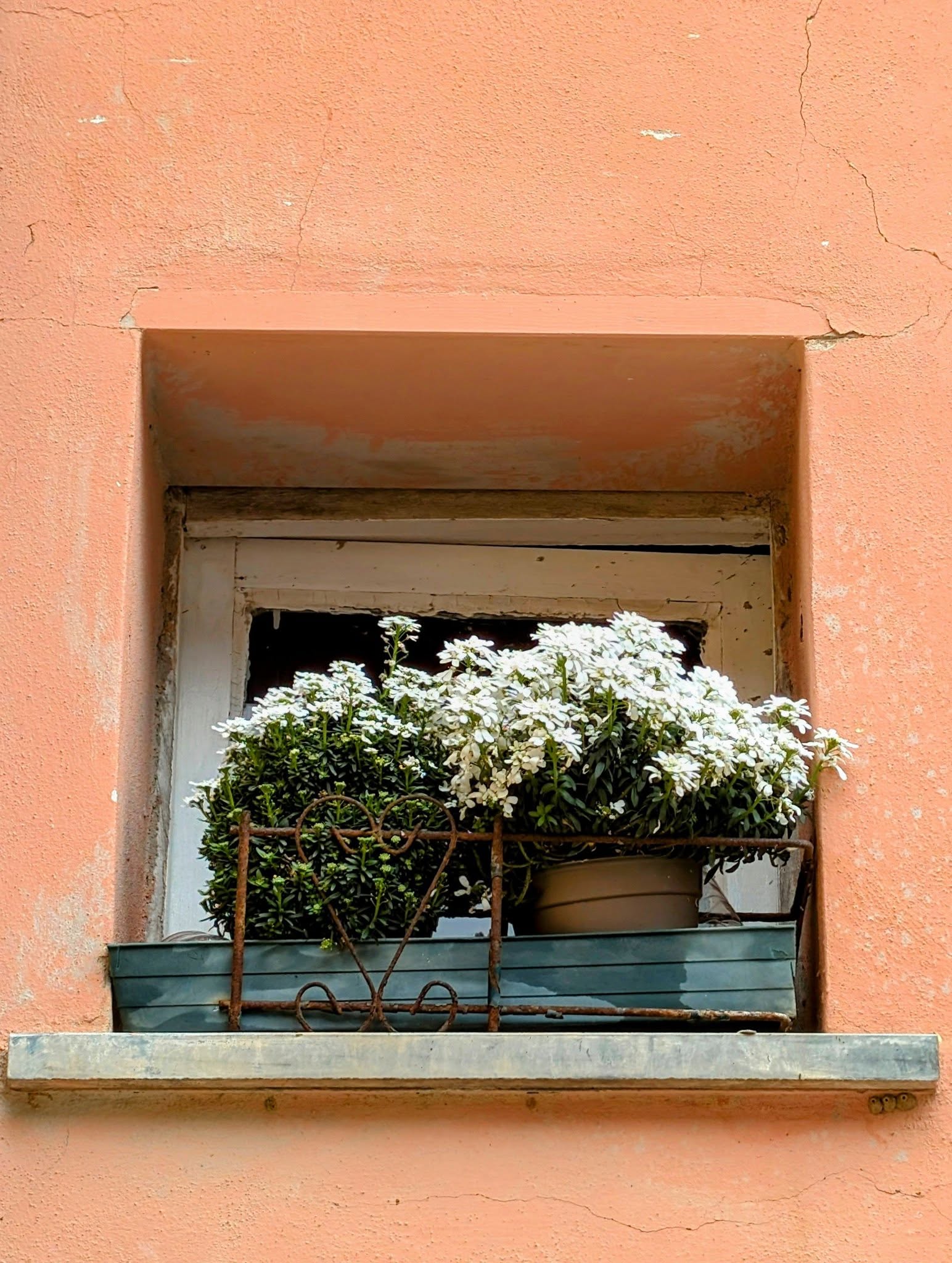 子貓玲 CoNeCoLin 伍洋 - 輔助圖