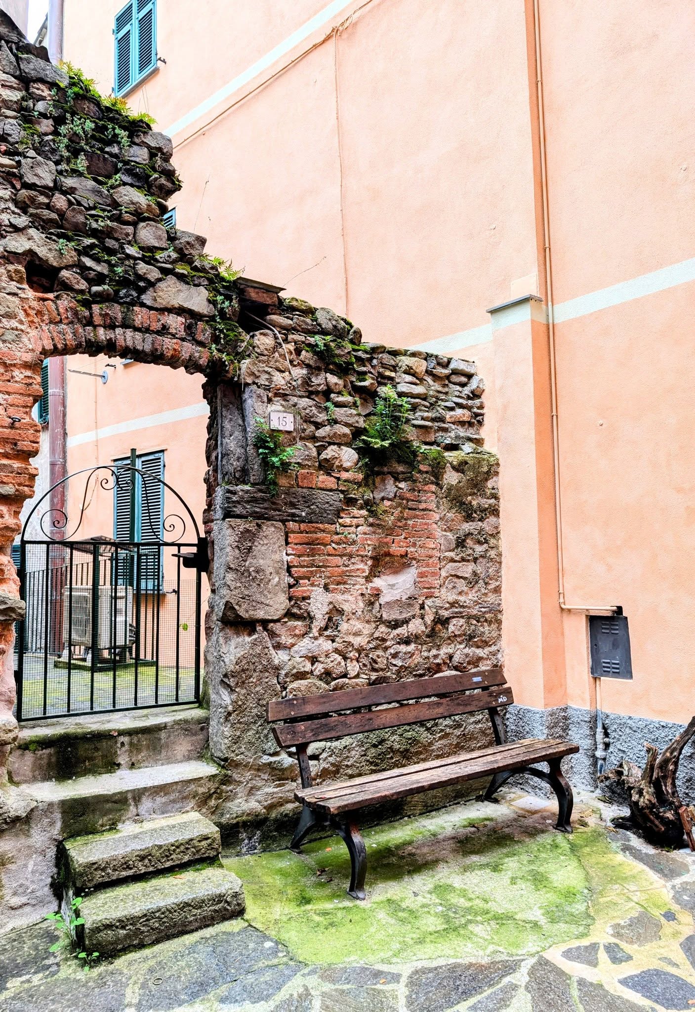 子貓玲 CoNeCoLin 伍洋 - 輔助圖