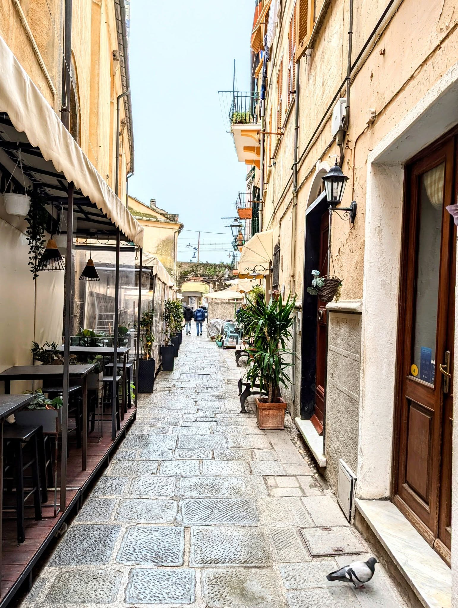 子貓玲 CoNeCoLin 伍洋 - 輔助圖