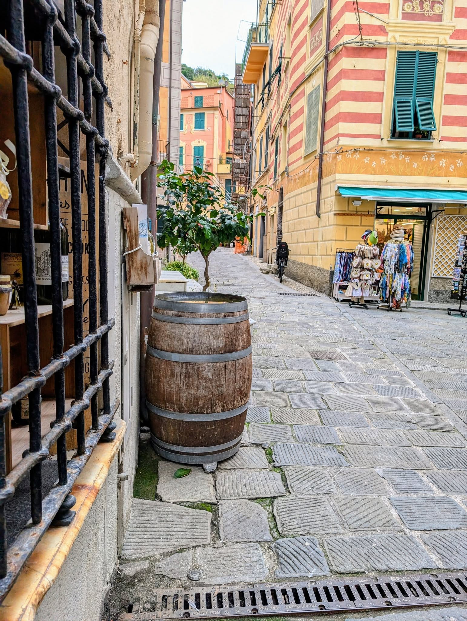 子貓玲 CoNeCoLin 伍洋 - 輔助圖