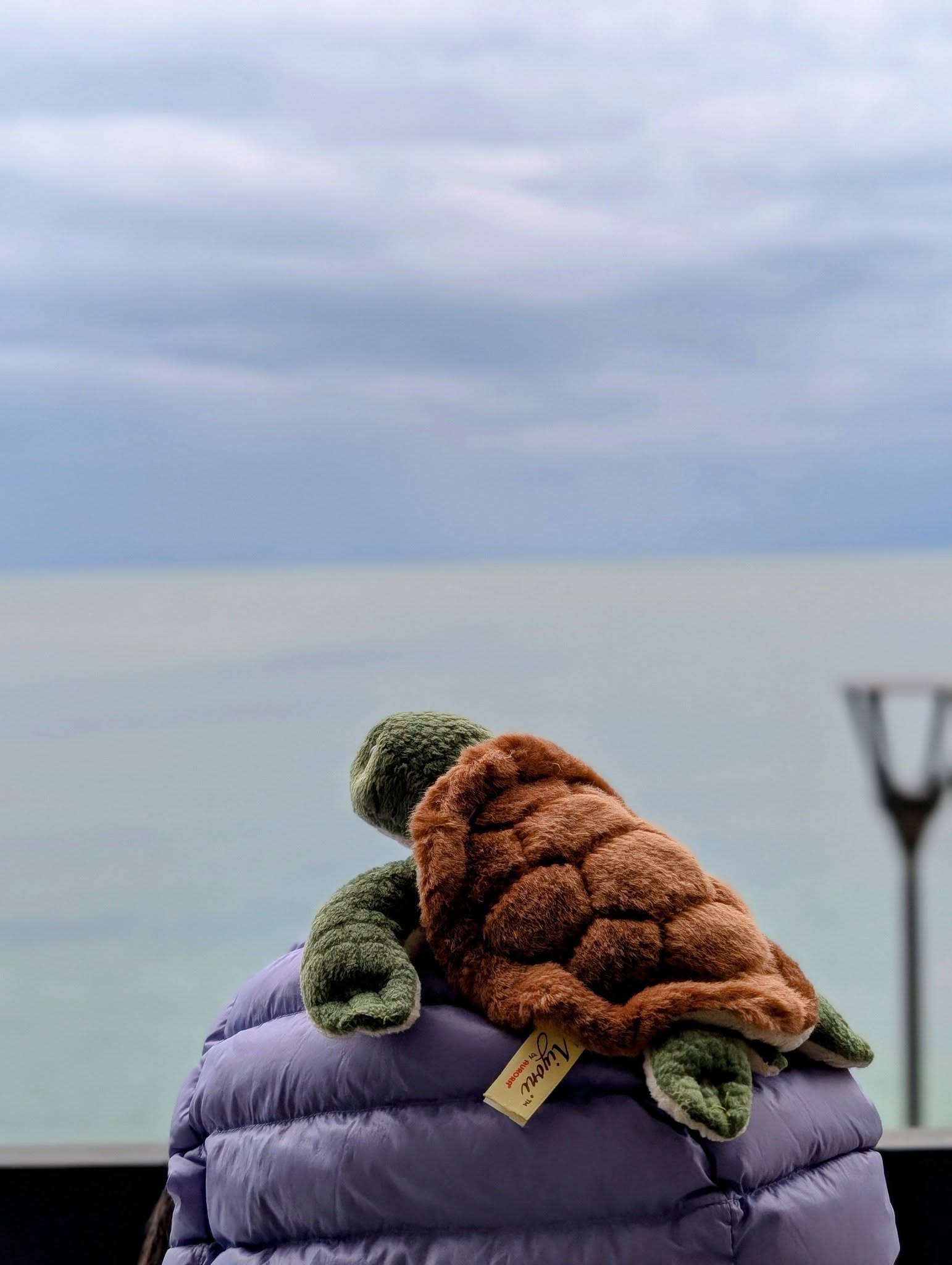 子貓玲 CoNeCoLin 伍洋 - 輔助圖