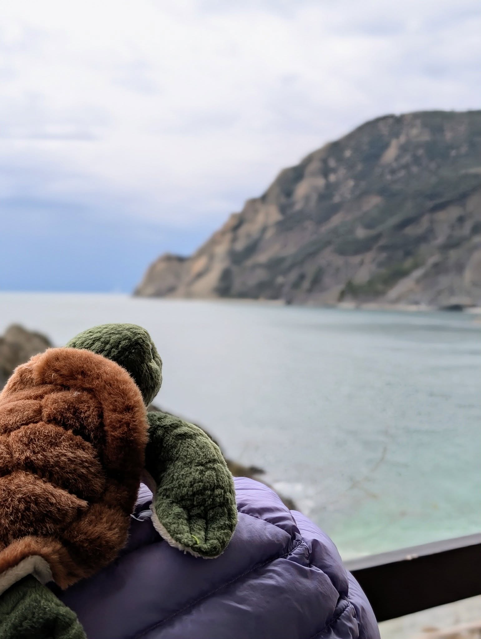 子貓玲 CoNeCoLin 伍洋 - 輔助圖