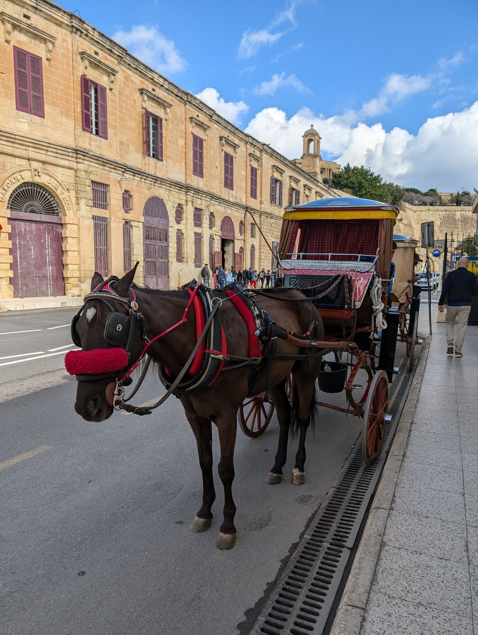 子貓玲 CoNeCoLin 伍洋 - 輔助圖