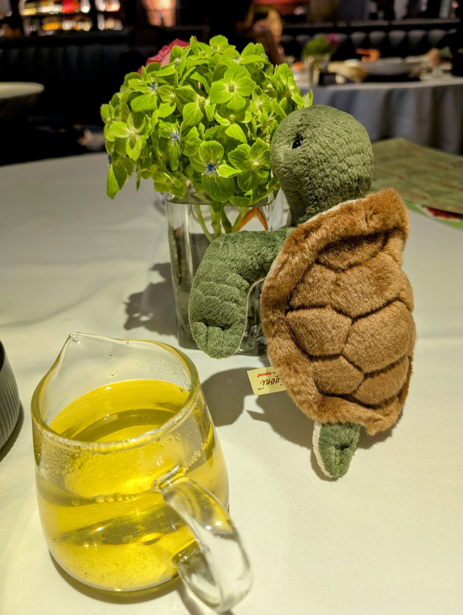 子貓玲 CoNeCoLin 伍洋 - 輔助圖