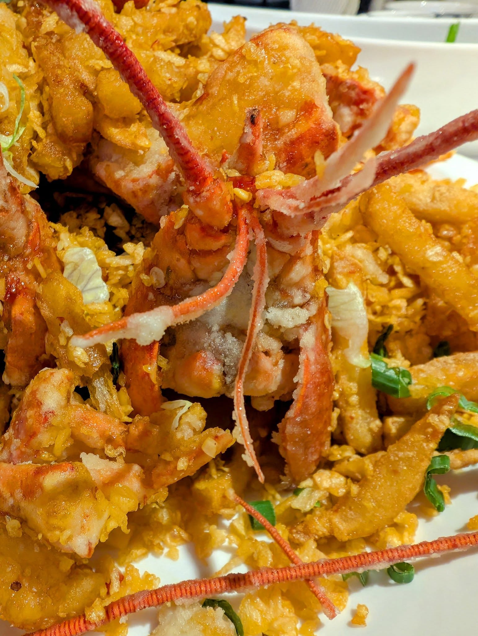 子貓玲 CoNeCoLin 伍洋