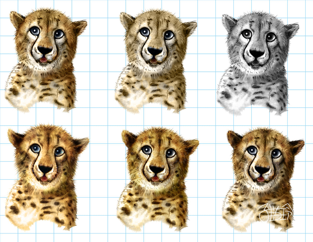 子貓玲 CoNeCoLin 伍洋